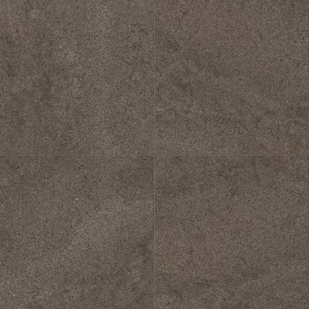 Brown_Dust_ea3adddc-dd32-4b17-9652-dcbc4dd36bfa