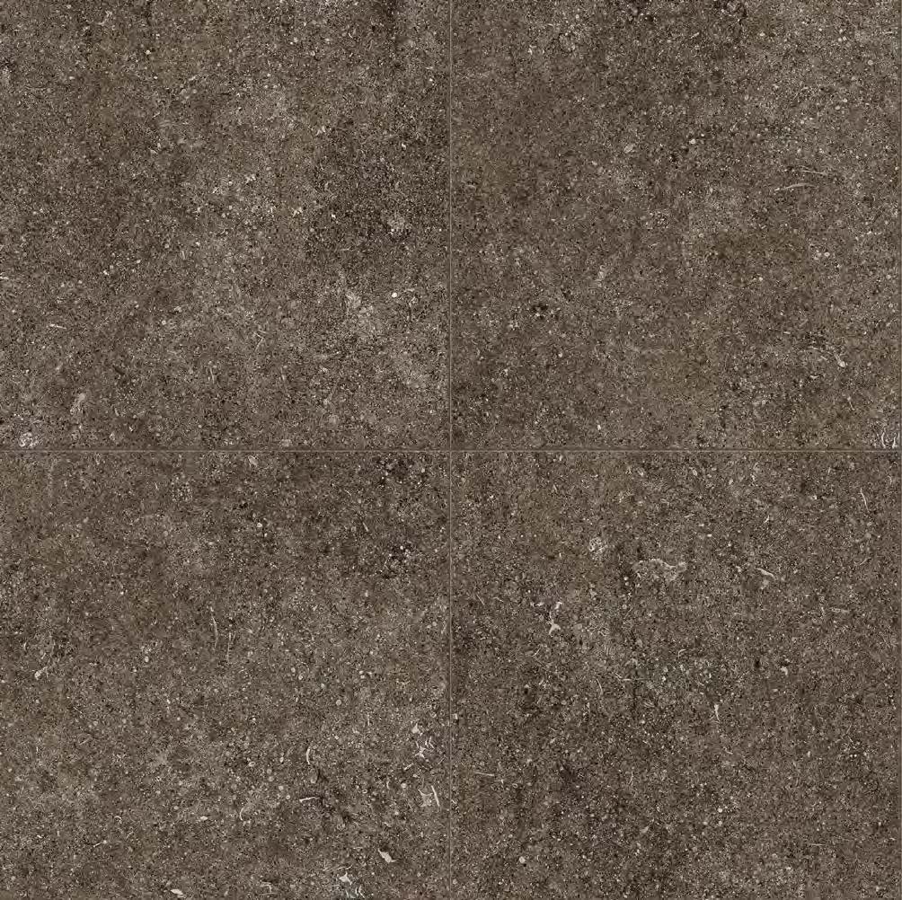 Brown_Fossil