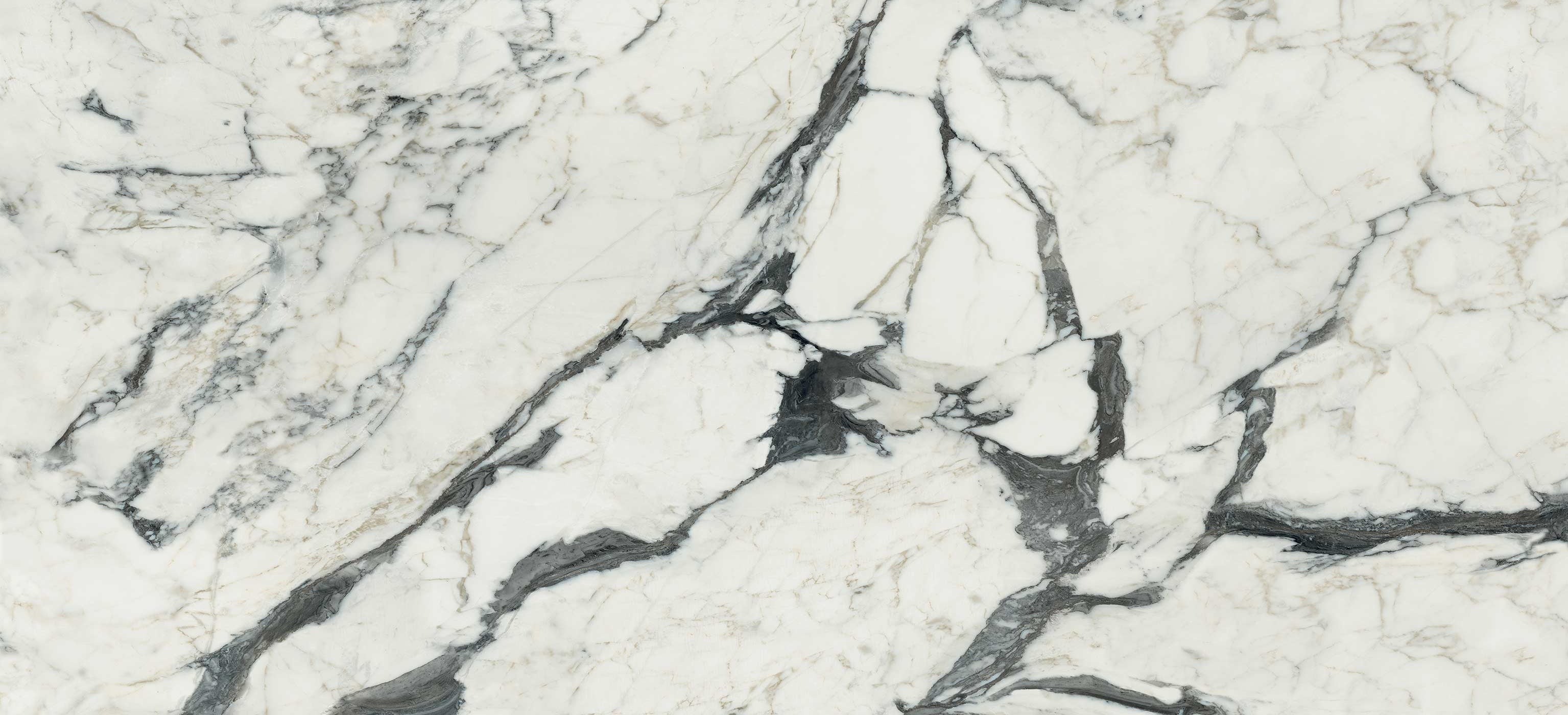 Calacatta_Altissimo_Blanc