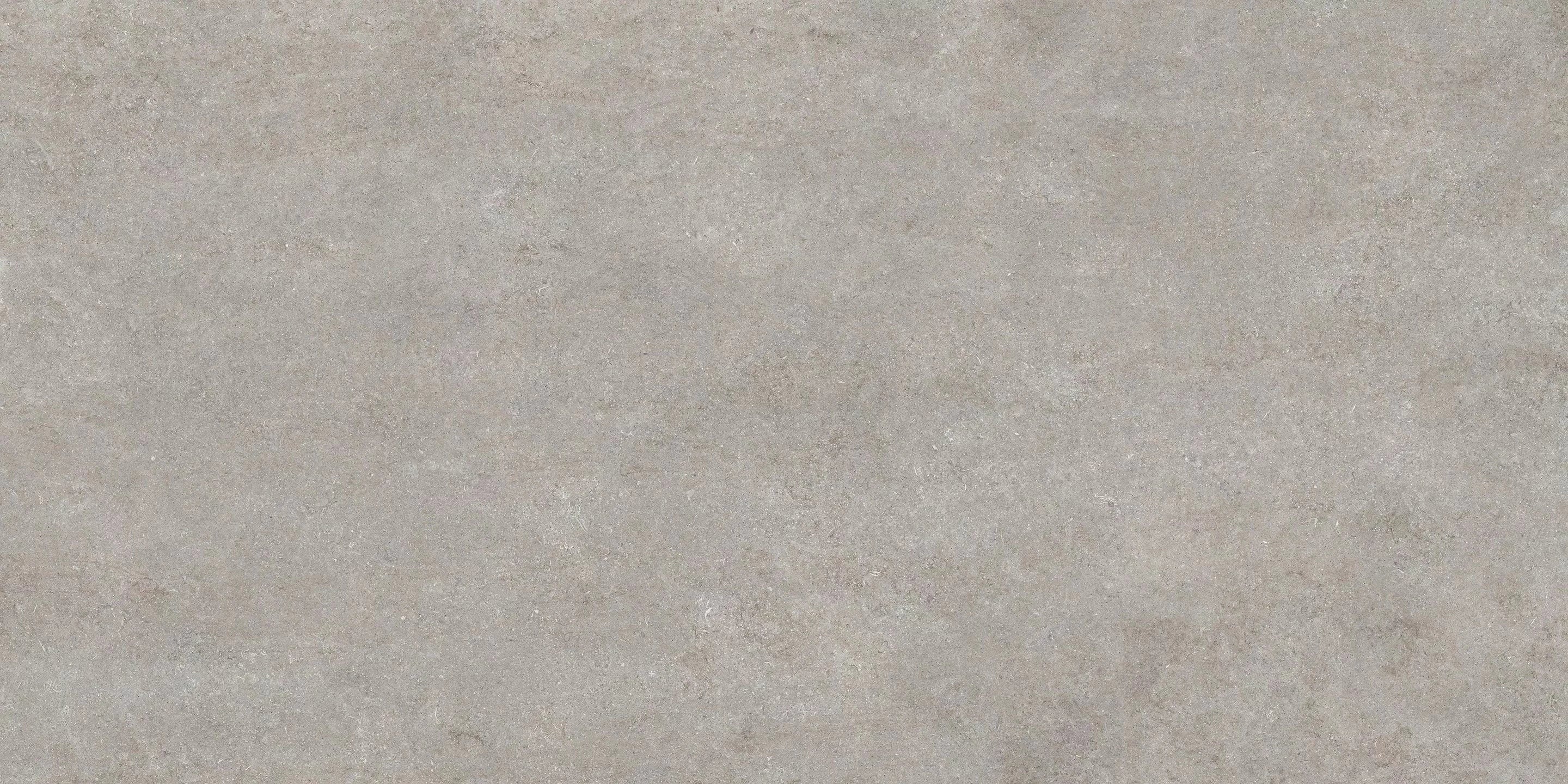 FossilGrey