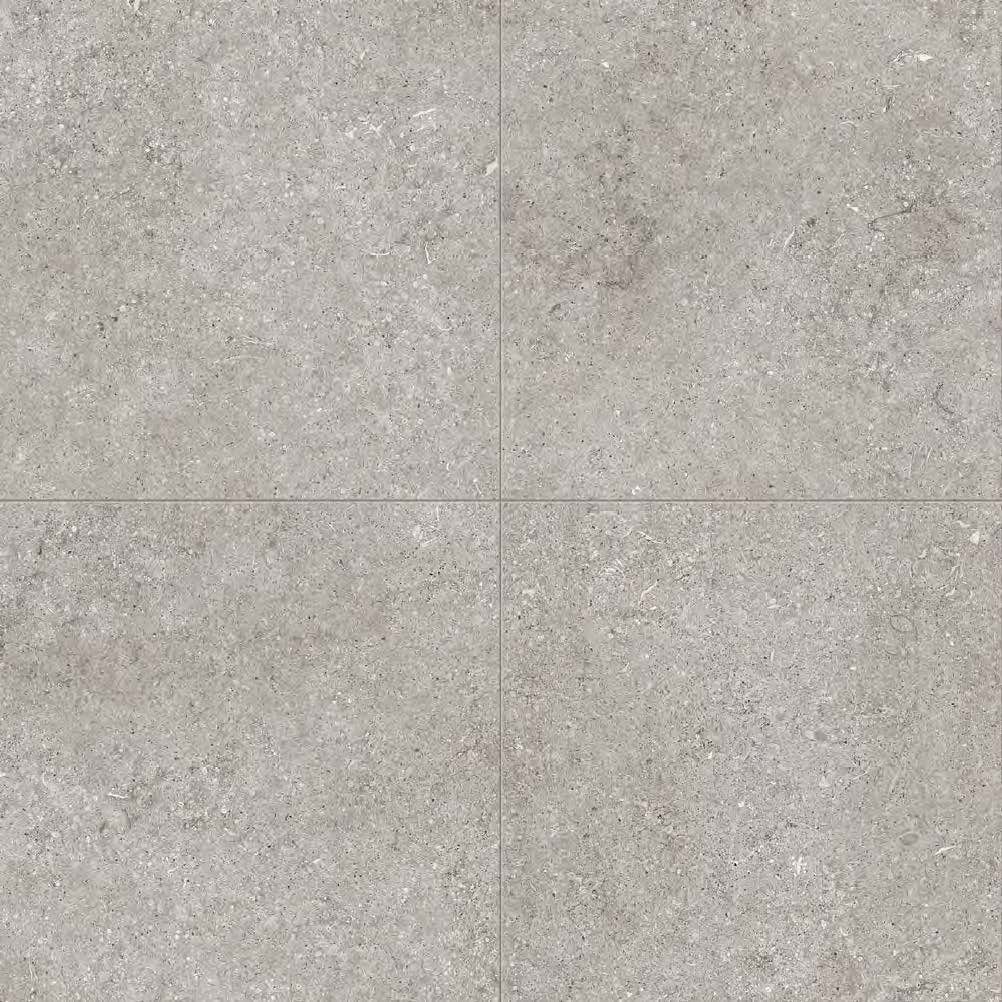 Grey_Fossil