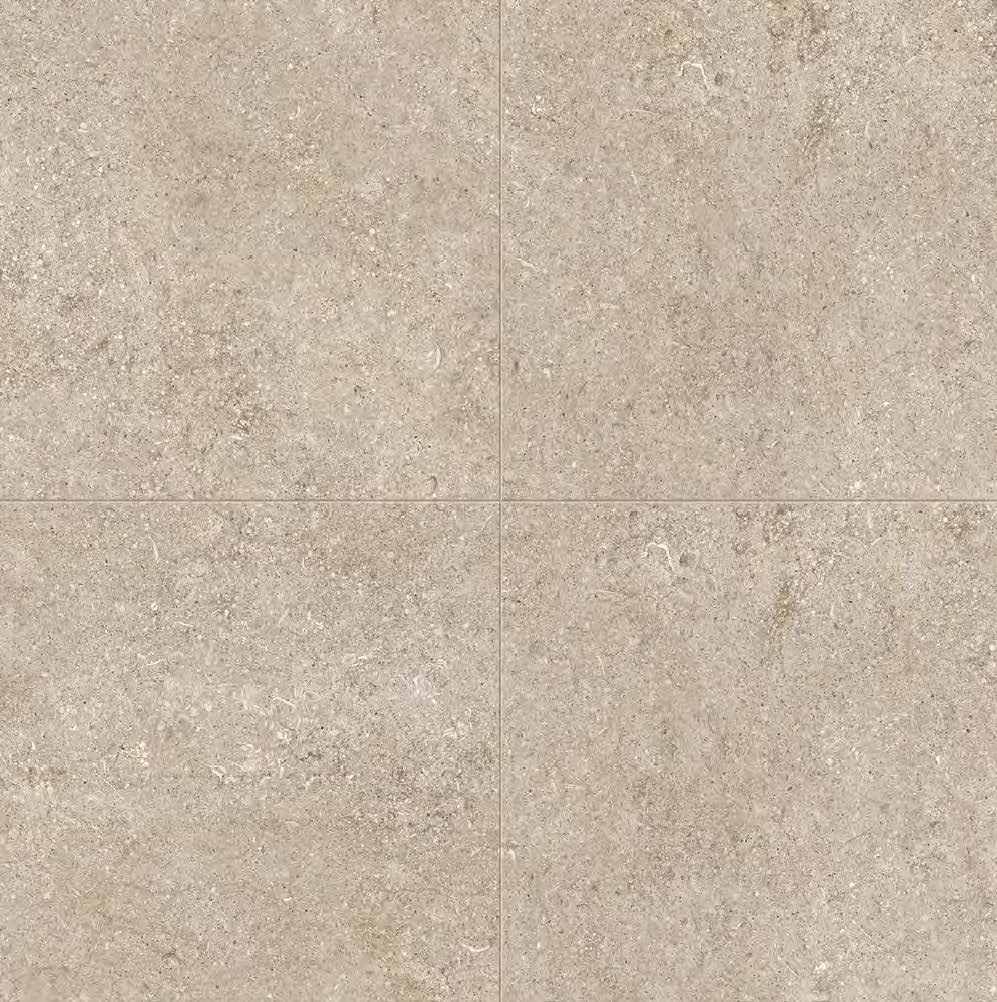 Ivory_Fossil