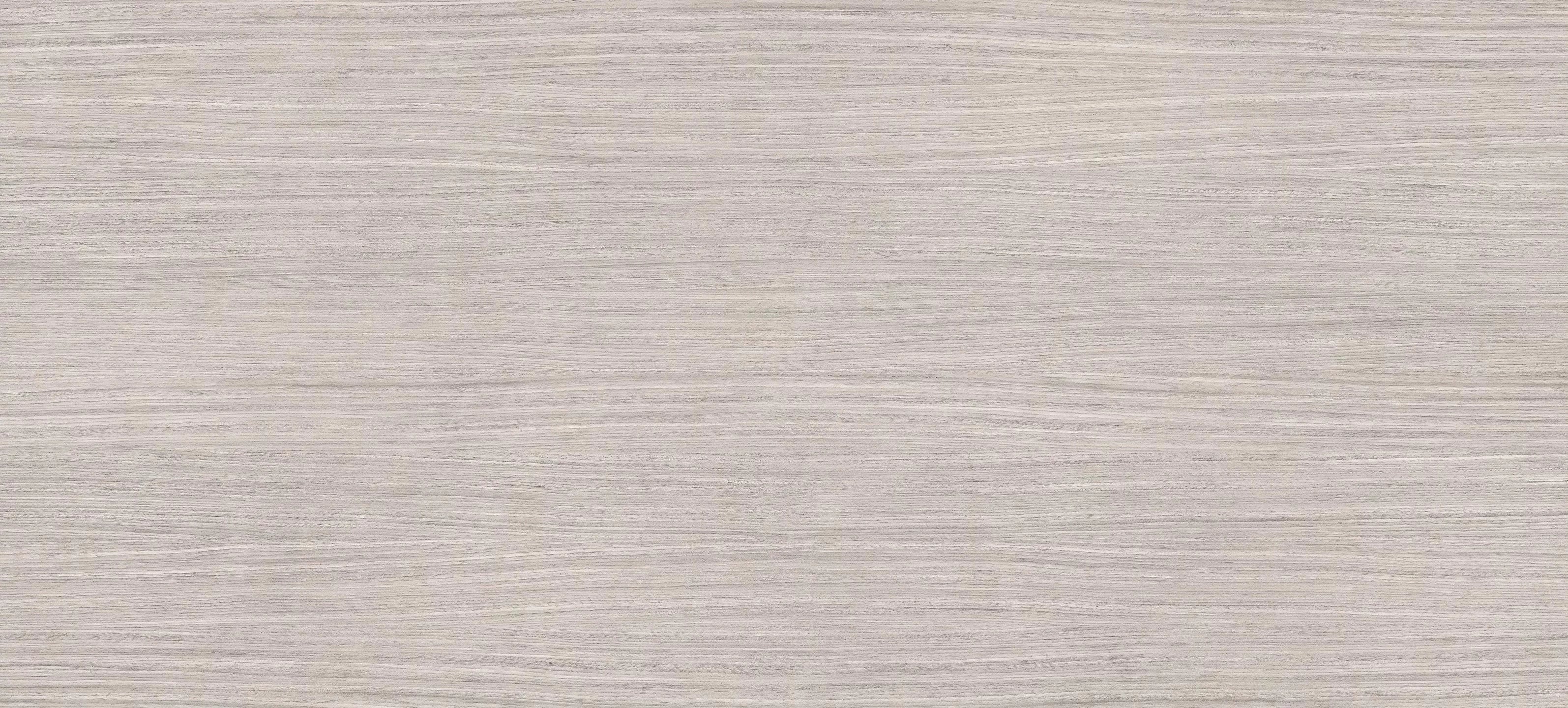 Plank04