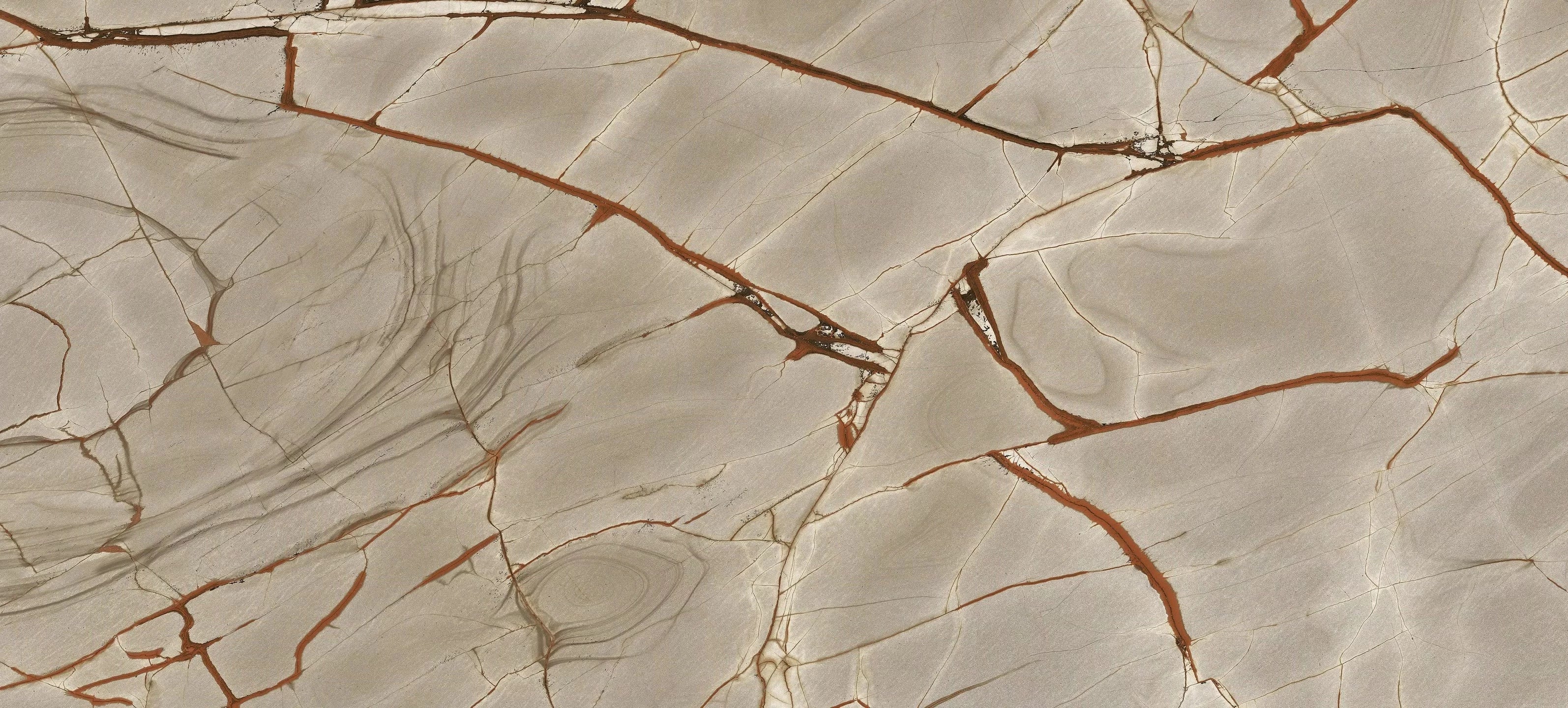 Rainforest