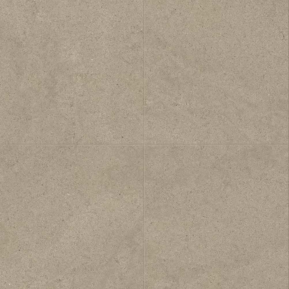 Taupe_Dust