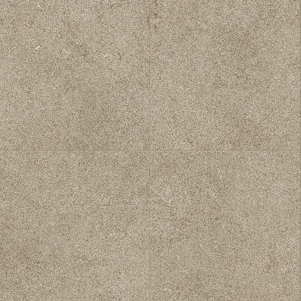 Taupe_Lithos