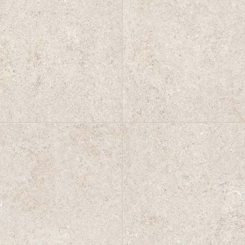 White_Fossil