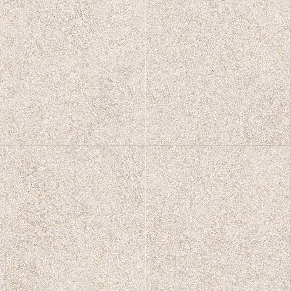 White_Lithos-1